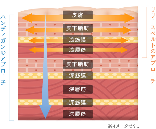 これ1台でより効果的なボディケアへ。